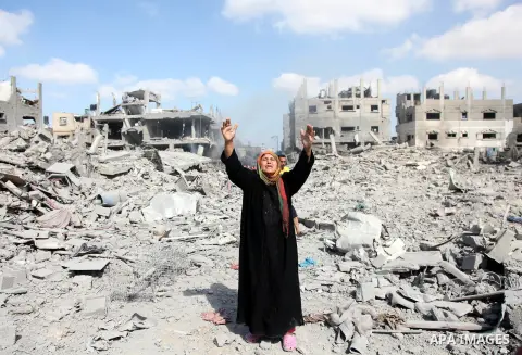 A Palestinian woman reacts at seeing destroyed homes in the northern district of Beit Hanun in the Gaza Strip during an humanitarian truce on July 26, 2014. Palestinians retrieved dozens of bodies from the rubble of Gaza...