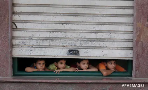 Palestinian children look through a store shutter at ambulances transporting casualties during Israeli offensive, in Gaza City July 30, 2014. Israeli strikes near a market in the eastern Gaza Strip killed 15 Palestinians...