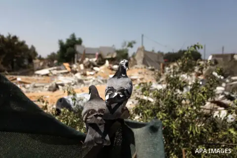 Doves stand on the rubble of a house, which witnesses said was badly damaged during the Israeli offensive, in the east of Rafah in the southern Gaza Strip August 5, 2014. Israel pulled its ground forces out of the Gaza S...