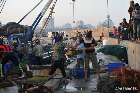 Palestinian fishermen collect boxes of fish at Gaza's seaport in Gaza City August 29, 2014. Israel and Hamas accepted an Egyptian proposal for a long-term ceasefire in war-torn Gaza on August 26 in a move to end 50 days...