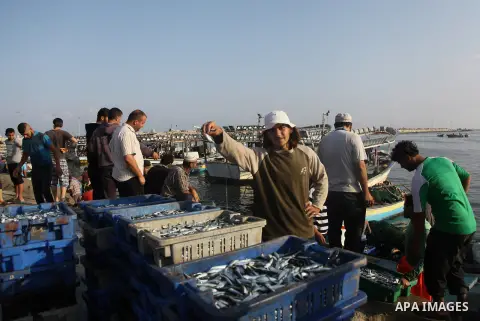 A Palestinian fisherman sells fish at Gaza's seaport in Gaza City early on August 29, 2014. Israel and Hamas accepted an Egyptian proposal for a long-term ceasefire in war-torn Gaza on August 26 in a move to end 50 days...