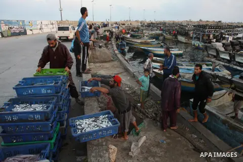 Palestinian fishermen collect boxes of fish at Gaza's seaport in Gaza City August 29, 2014. Israel and Hamas accepted an Egyptian proposal for a long-term ceasefire in war-torn Gaza on August 26 in a move to end 50 days...