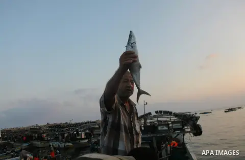A Palestinian fisherman sells fish at Gaza's seaport in Gaza City early on August 29, 2014. Israel and Hamas accepted an Egyptian proposal for a long-term ceasefire in war-torn Gaza on August 26 in a move to end 50 days...