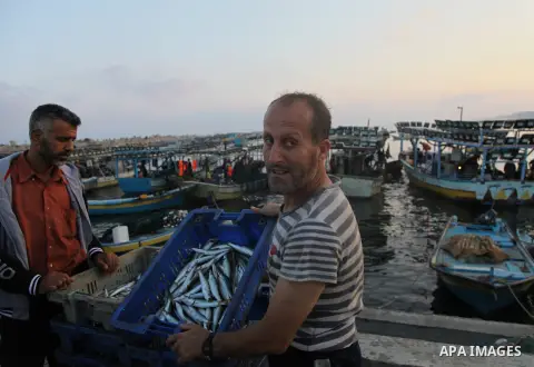 A Palestinian fisherman sells fish at Gaza's seaport in Gaza City early on August 29, 2014. Israel and Hamas accepted an Egyptian proposal for a long-term ceasefire in war-torn Gaza on August 26 in a move to end 50 days...