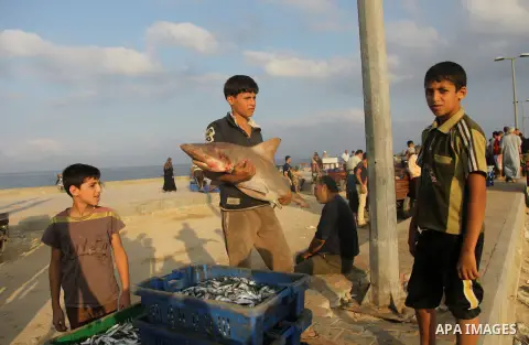 A Palestinian boy carries a baby sharks at Gaza's seaport in Gaza City early on August 29, 2014. Israel and Hamas accepted an Egyptian proposal for a long-term ceasefire in war-torn Gaza on August 26 in a move to end 50...