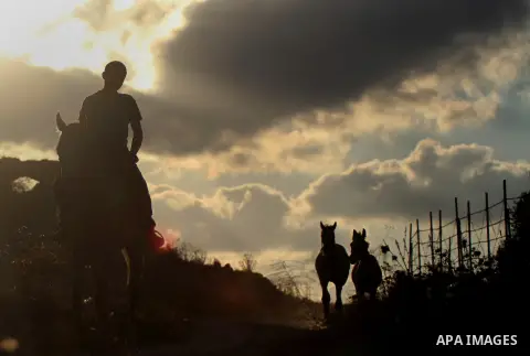 A Palestinian youth rides a horse during sunset in the West Bank city of Rammallah on September 2, 2014. Photo by Shadi Hatem