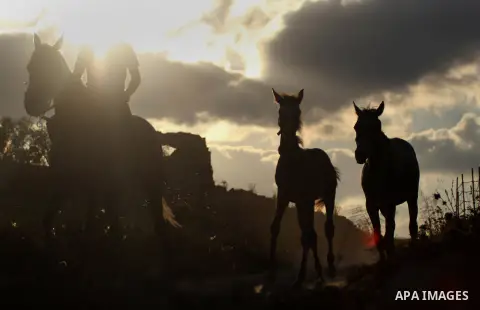 A Palestinian youth rides a horse during sunset in the West Bank city of Rammallah on September 2, 2014. Photo by Shadi Hatem