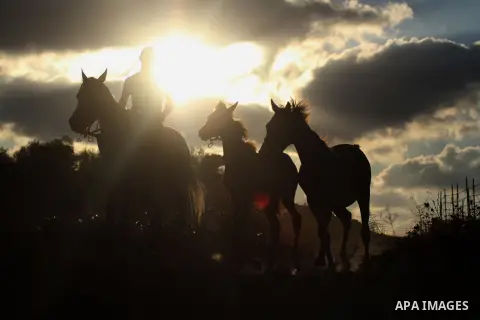 A Palestinian youth rides a horse during sunset in the West Bank city of Rammallah on September 2, 2014. Photo by Shadi Hatem