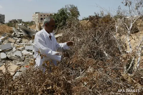 A Palestinian man inspects his farmland which destroyed during fighting between Hamas militants and Israel in east of Rafah in southern Gaza strip on September 07, 2014. Calm returned to the coastal enclave in a August 2...