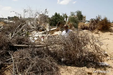 A Palestinian man inspects his farmland which destroyed during fighting between Hamas militants and Israel in east of Rafah in southern Gaza strip on September 07, 2014. Calm returned to the coastal enclave in a August 2...