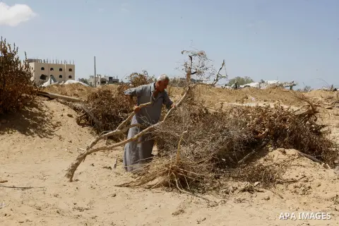A Palestinian man inspects his farmland which destroyed during fighting between Hamas militants and Israel in east of Rafah in southern Gaza strip on September 07, 2014. Calm returned to the coastal enclave in a August 2...