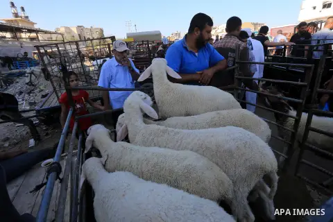 Palestinians gather at a livestock market, a day before the major Muslim festival of Eid al-Adha, in Gaza city on October 03, 2014. During the first week of October, Muslims across the world will celebrate the annual fes...