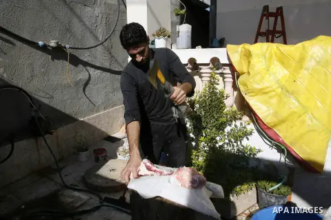 A Palestinian butcher cuts the meat of a cow after slaughtered on the first day of Eid al-Adha or or the feast of sacrifice, in Rafah in the southern Gaza Strip on October 4, 2014. Muslims around the world are celebratin...