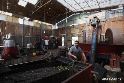 A Palestinian man looks on as a machine cleans olives before pressing it to be made into oil at an olive press in Khan Younis, the southern Gaza Strip, October 22, 2014. Photo by Ashraf Amra