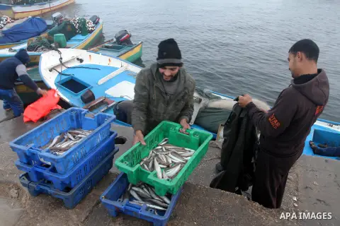 Palestinian fishermen collect boxes of fish at Gaza's seaport of Gaza City on December 7, 2014. Israeli forces detained 12 Palestinian fishermen off the coast of the northern Gaza Strip early Sunday. Photo by Mohammed As...