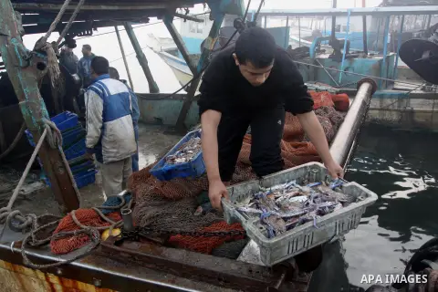 Palestinian fishermen collect boxes of fish at Gaza's seaport of Gaza City on December 7, 2014. Israeli forces detained 12 Palestinian fishermen off the coast of the northern Gaza Strip early Sunday. Photo by Mohammed As...