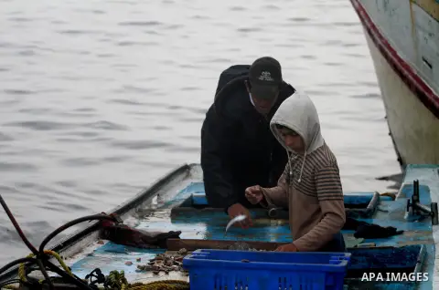 Palestinian fishermen collect boxes of fish at Gaza's seaport of Gaza City on December 7, 2014. Israeli forces detained 12 Palestinian fishermen off the coast of the northern Gaza Strip early Sunday. Photo by Mohammed As...