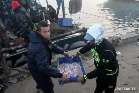 Palestinian fishermen collect boxes of fish at Gaza's seaport of Gaza City on December 7, 2014. Israeli forces detained 12 Palestinian fishermen off the coast of the northern Gaza Strip early Sunday. Photo by Mohammed As...
