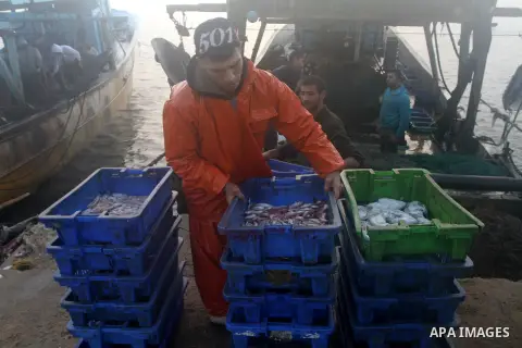 Palestinian fishermen collect boxes of fish at Gaza's seaport of Gaza City on December 7, 2014. Israeli forces detained 12 Palestinian fishermen off the coast of the northern Gaza Strip early Sunday. Photo by Mohammed As...