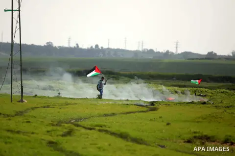 A Palestinian protestor waves his national flags during a protest against the Israeli siege on Gaza strip near the Nahal Oz crossing east of Gaza City on February 09, 2015. Photo by Ashraf Amra
