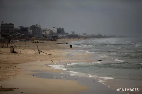 seagulls stand at the beach of Gaza city during a rainy day, February 18, 2015. Photo by Ashraf Amra