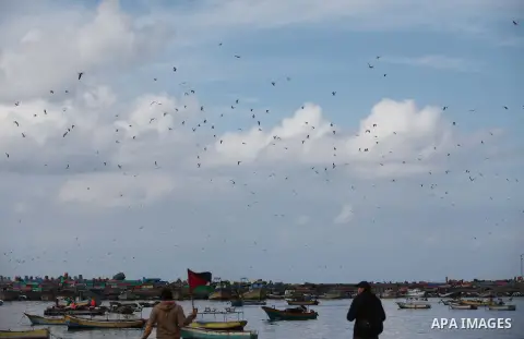 Palestinian fishermen ride their boat during a rainy day at the seaport near the coast of Gaza city, February 18, 2015. Photo by Ashraf Amra