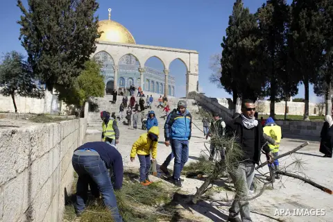 Palestinians remove fallen trees after a snowstorm at the al-Aqsa mosque compound, in Jerusalem's old city, February 22, 2015. Some parts of Israel were covered with snow early Friday amid a heavy winter storm and extrem...