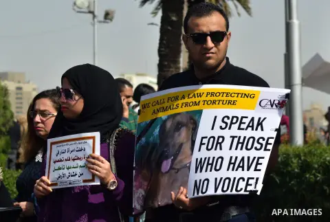 Egyptians hold placards during demonstration against killing Al-ahram's Dog at Al Jazeera square in Cairo, Egypt on February 28, 2015. Photo by Amr Sayed
