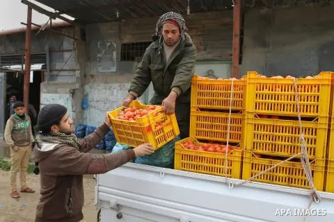 A Palestinian labourer stacks tomato crates at a farm in Rafah in the southern Gaza Strip on March 12, 2015. Israel imported its first fruit and vegetables from the Gaza Strip in almost eight years on Thursday, in a part...