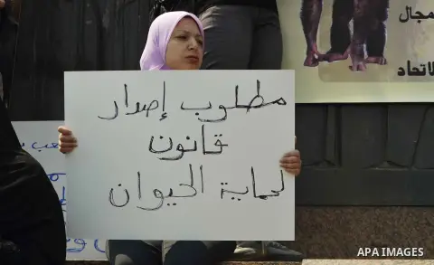 Egyptian women hold banners during a protest demanding animal rights in front of the Opera, Cairo, Egypt on April 4, 2015. Photo by Amr Sayed