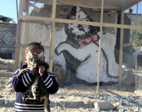 A Palestinian child holds a kitten in front of a mural of a kitten, said to have been painted by British street artist Banksy, on the remains of a house that was destroyed during the 50-day war between Israel and Hamas m...