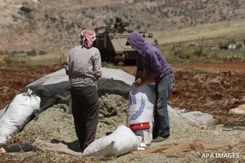 Palestinian farmers work at their lands during a military exercises for the Israeli army in the West Bank village of Khirbet al-Tawil, south of Nablus, on May 3, 2015. Photo by Nedal Eshtayah