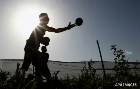 Palestinian farmers collect watermelon from their field located in Khan Younis in the southern Gaza Strip on May 9, 2015. Photo by Abed Rahim Khatib