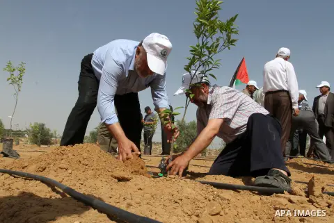 Palestinians plant trees as they take part in a rally marking the 67th anniversary of the "Nakba", in Rafah in the southern Gaza strip, on May 18, 2015. ''Nakba'' means in Arabic ''catastrophe'' in reference to the birth...