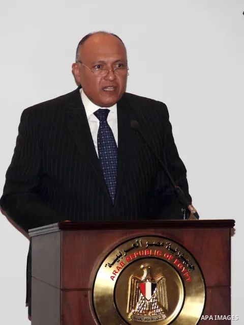 Egyptian Foreign Minister Sameh Shoukry gives the opening speech of a two-day meeting with Syrian opposition representatives aiming at forming a new coalition as an alternative to an exiled Western-back alliance on June...