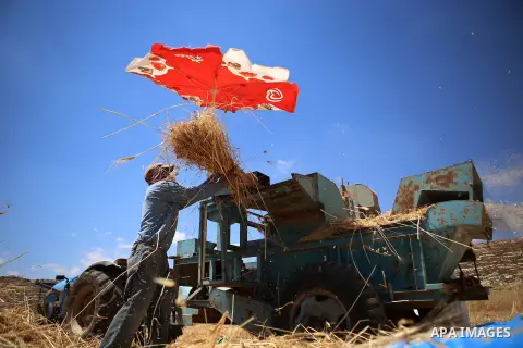 A Palestinian man works on a combine harvester during the annual harvest in a field in the West Bank village of Sinjil, near Ramallah, on June 15, 2015. Photo by Shadi Hatem