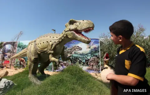 A Palestinian boy watches a dinosaur model at an amusement park on the third day of Eid al-Fitr holiday which marks the end of the Muslim holy month of Ramadan, in Gaza City on July 19, 2015. Photo by Ashraf Amra