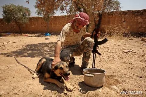 A fighter from the Free Syrian Army plays with his dog following clashes with the pro-regime forces, in Aziza village in the northern Syrian city of Aleppo, on July 28, 2015. Photo by Ameer al-Halbi