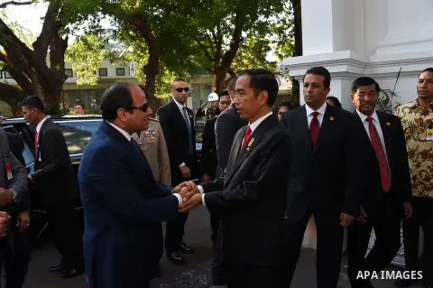 Egypt's President Abdel Fattah al-Sisi walks meets with Indonesia's President Joko Widodo at the presidential palace in Jakarta on September 4, 2015. Al-Sisi, who arrived from Beijing, is on the final stop of his near we...
