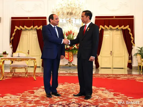 Egypt's President Abdel Fattah al-Sisi walks meets with Indonesia's President Joko Widodo at the presidential palace in Jakarta on September 4, 2015. Al-Sisi, who arrived from Beijing, is on the final stop of his near we...