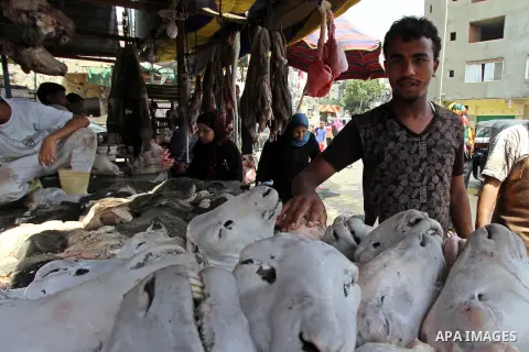 An Egyptian butcher sells buffalo meat at a market ahead of the sacrificial Eid al-Adha festival in Cairo on September 23, 2015. Muslims across the world are preparing to celebrate the annual festival of Eid al-Adha, or...