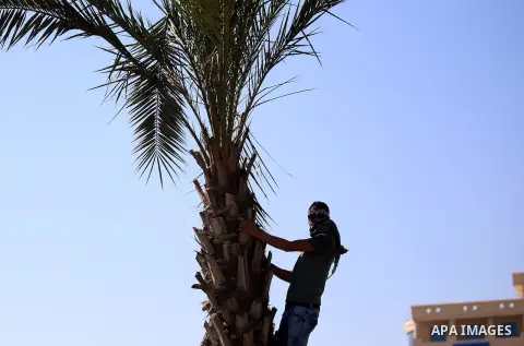 A Palestinian protester looks on during clashes with Israeli security forces near the Beit El settlement on the outskirts of Ramallah in the West Bank, on October 16, 2015. The unrest that has engulfed Jerusalem and the...