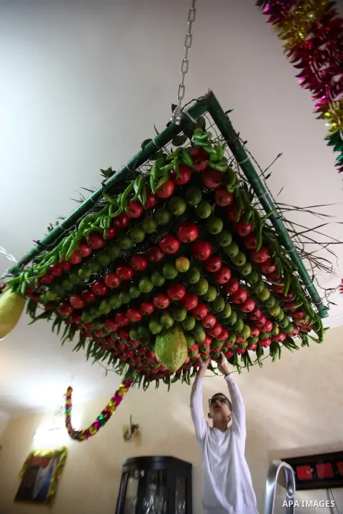 A member of the Samaritan sect decorates a traditional hut known as a sukkot with fruits and vegetables on Mount Gerizim, on the outskirts of the West Bank city of Nablus, October 26, 2015. A sukkot is a ritual hut used...