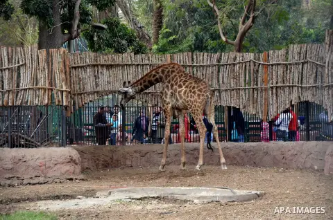 Egyptians enjoy at a zoo in a holiday, in Cairo, Egypt, on January 7, 2016. Photo by Amr Sayed