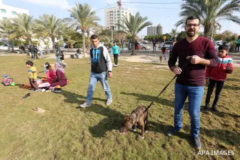 Palestinians show their dogs during the first dog show organized by local dog breeders, in Gaza City February 5, 2016. Following announcements over social media for dog owners to take part, more than thirty different bre...