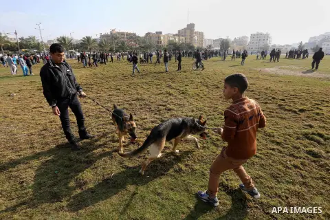Palestinians show their dogs during the first dog show organized by local dog breeders, in Gaza City February 5, 2016. Following announcements over social media for dog owners to take part, more than thirty different bre...