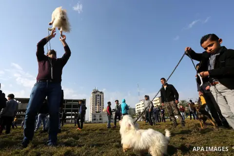 Palestinians show their dogs during the first dog show organized by local dog breeders, in Gaza City February 5, 2016. Following announcements over social media for dog owners to take part, more than thirty different bre...