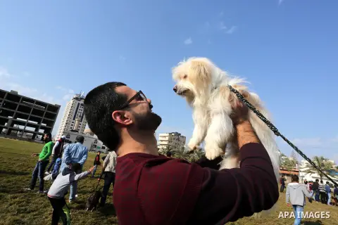 Palestinians show their dogs during the first dog show organized by local dog breeders, in Gaza City February 5, 2016. Following announcements over social media for dog owners to take part, more than thirty different bre...