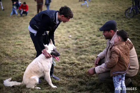 Palestinians show their dogs during the first dog show organized by local dog breeders, in Gaza City February 5, 2016. Following announcements over social media for dog owners to take part, more than thirty different bre...