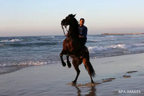 A Palestinian youth shows his skills on rides horses on the beach of Gaza city on Feb. 12, 2016. Photo by Mohammed Asad